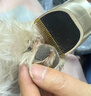 奧克斯（AUX）寵物剃毛器電推剪狗狗剃毛器充電電推子狗毛剃腳貓咪局部修毛剪毛器電動(dòng)理發(fā)器貓咪泰迪金毛用品 標配 曬單實(shí)拍圖
