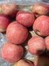 青饞貓陜西延安特產(chǎn)洛川蘋(píng)果紅富士時(shí)令水果禮盒送蘋(píng)果生鮮新鮮脆甜整箱 凈重4.5-5斤 中果【75-80mm+】 曬單實(shí)拍圖