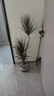 發(fā)財樹大型綠植客廳辦公室內旺宅落地式好養(yǎng)花卉吸甲醛龜背竹植物 【精選】千年木1.2-1.4米多枝-原盆 曬單實拍圖