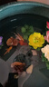 中國紅冷水淡水觀賞魚錦鯉魚活魚金魚小型好養(yǎng)紅鯉魚純種小錦鯉 6-8cm長黑白黃紅各一條 曬單實(shí)拍圖