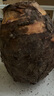 探味君 廣西荔浦大芋頭 現(xiàn)挖粉糯大香芋 新鮮蔬菜 3斤凈重2.8斤 中芋（單果250g起） 曬單實(shí)拍圖