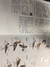 （加贈(zèng)鳥類貼紙）中國鳥類觀察手冊鳥類圖鑒百科全書 觀鳥手冊書 鳥類行為動(dòng)物科普 中國國家地理書籍 包含1491種鳥 曬單實(shí)拍圖