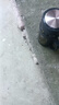 玻璃水杯商務(wù)杯大容量男女生帶蓋泡茶杯家用含茶隔把手杯 商務(wù)把手杯黑色 500ml 1只 曬單實(shí)拍圖