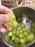 新疆無(wú)籽露葡萄1kg 曬單實(shí)拍圖