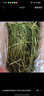 喜帥 精品烘干提摩西草500g 提草荷蘭豬龍貓兔子磨牙牧草飼料兔草主糧 曬單實(shí)拍圖