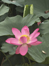 奧克斯桶式吸塵器家用強(qiáng)勁大吸力工業(yè)開(kāi)荒裝修美縫車用商用地毯酒店吹吸塵機(jī)12L容量AXC-22AT588A升級(jí)版 曬單實(shí)拍圖
