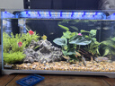 吉印刀鋒s魚缸燈led燈防水全光譜魚缸照明燈水草燈小型超白魚燈56cm 曬單實拍圖