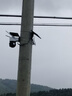 網絡眼4g免費流量太陽能攝像頭室外無電無網農村戶外手機遠程高清無線監(jiān)控器家用360度無死角帶夜視全景 【太陽能WiFi】單畫面單回放+單光伏板+64G卡 曬單實拍圖