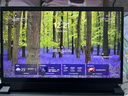 戴爾（DELL）游匣G15 15.6英寸5530 游戲本13代酷睿學(xué)生3050 4050電競設(shè)計制圖剪輯滿血獨顯筆記本電腦ZX11B 黑i5-13450HX RTX4050 165Hz 16G內(nèi)存 5 曬單實拍圖