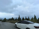 嘉實(shí)多（Castrol）極護智E版 全合成機油 潤滑油 5W-40 SP A3/B4 4L 汽車(chē)保養 曬單實(shí)拍圖
