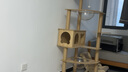 瓏小寵貓爬架大型貓窩貓架四季通用寵物貓玩具 劍麻貓爬樹(shù)貓抓板貓跳臺 145cm【雙太空艙加固款】 曬單實(shí)拍圖