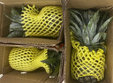 特價(jià)金鉆鳳梨新鮮大果菠蘿整箱水果風(fēng)梨手撕現貨直發(fā)脆甜多汁鳳梨 1個(gè)裝小果 單果400g起 曬單實(shí)拍圖