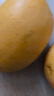 京鮮生 攀枝花凱特芒果 凈重4.5斤 帶箱5斤 單果400g+ 生鮮水果源頭直發(fā) 曬單實拍圖