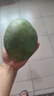【新鮮上市】正宗攀枝花凱特芒果新鮮水果 帶箱2斤200g+ 曬單實拍圖