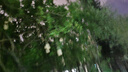 智楚數(shù)碼（ZCSM） 微信收款官方音響f1自帶網(wǎng)絡(luò)4G版手機(jī)關(guān)機(jī)也能播報(bào)二維碼收錢語音播報(bào)器擺攤提示 微信F5【標(biāo)準(zhǔn)版】 曬單實(shí)拍圖