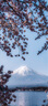 Smorss【AR增透-黑色】適用蘋(píng)果iPhone16Pro/16ProMax鏡頭膜鋼化膜后置攝像頭高清防刮秒貼手機保護膜 曬單實(shí)拍圖