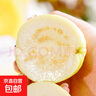 福建黃金奶油芭樂(lè )番石榴 冰激凌口感當季現摘新鮮水果京東快遞 白心奶油芭樂(lè )4.5斤裝 曬單實(shí)拍圖
