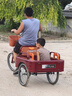 永久三輪車(chē)老人腳踏腳蹬腳踩自行單車(chē)老年人力車(chē)代步小型輕便成人 加大80斗酒紅色-正新輪胎-雙鏈條 曬單實(shí)拍圖