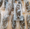 宮壹大連即食海參1斤15-25只 固形物超75%底播刺參鮮活海參加工免泡發(fā) 曬單實拍圖