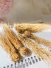 濱隴堂養(yǎng)肝草護肝草養(yǎng)生煲湯材料龍須草廣東燉雞湯滋補食材包絲線根干貨 清香2袋20小扎 曬單實拍圖