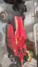 樂高（LEGO）【五月天阿信同款】積木賽車77242 法拉利F1男孩兒童玩具生日禮物 曬單實拍圖