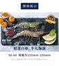 萬景 北海鮮凍白蝦 國產(chǎn)白蝦 單凍無冰凈重4斤 100-120只 燒烤聚餐  曬單實(shí)拍圖