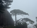 哈曼卡頓 音樂水晶五代 流光版 藍(lán)牙音箱 電腦桌搭 居家藝術(shù)音響 家用音響 電競游戲音箱 中秋節(jié)禮物 水晶5 曬單實(shí)拍圖