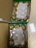 佳沛（zespri）新西蘭  陽光金奇異果10粒禮盒巨大果單果約144-175g 水果 獼猴桃 曬單實拍圖