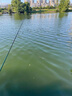臻佑（Grsaed）兒童魚竿套裝小孩初學(xué)專用釣魚竿釣蝦釣蟹釣小物竿1.5m小萌兔粉 曬單實拍圖