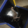 鼠道難粘鼠板5片裝老鼠貼捕鼠家用一窩端神器滅鼠超強力大號粘板5片 曬單實(shí)拍圖