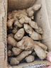 云南小黃姜新鮮生姜子生鮮姜月子姜超市蔬菜調料姜 凈重1500g 曬單實(shí)拍圖