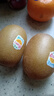 佳沛（zespri）新西蘭  陽(yáng)光金果10粒巨大果單果約144-175g 中秋水果禮盒 獼猴桃 曬單實(shí)拍圖
