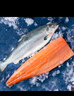 深?lèi)倓俦r挪威整條三文魚(yú) 一整條三文魚(yú)切片刺身大西洋鮭日料海鮮禮盒 【半條切塊】 5斤 （10斤魚(yú)的一半） 曬單實(shí)拍圖