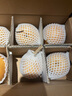 京鮮生山東煙臺萊陽秋月梨凈重4斤單果250g+ 新鮮水果 源頭直發(fā)包郵 曬單實拍圖