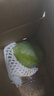 京鮮生 攀枝花凱特芒果 凈重3斤 帶箱3.5斤 單果400g+ 生鮮水果源頭直發(fā) 曬單實拍圖