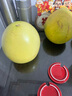 庾豐當季新鮮現(xiàn)摘脆紅李 新鮮水果整箱 孕婦脫骨青紅李子 團購送禮 5斤裝（凈果4.5斤）甄選果 顆顆甄選 產(chǎn)地直發(fā) 曬單實拍圖