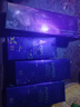 歐珀萊（AUPRES）時(shí)光鎖精華水爽膚水(滋潤(rùn)型)85mL 效期:2026/01/01-2026/04/01 曬單實(shí)拍圖