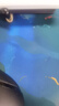 quatrefoil 廚房貼紙防油防水耐高溫墻紙自粘灶臺櫥柜貼紙60*300cm貓咪夢(mèng)魚(yú) 曬單實(shí)拍圖