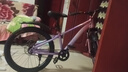 鳳凰山地自行車男女變速山地車碟剎青少年兒童自行車學生單車 星際 粉紫【單速+輻條輪】 20寸【適合125-160cm】 曬單實拍圖