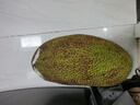 京鮮生 海南老樹菠蘿蜜 18-22斤裝 凈重18斤+ 生鮮水果 源頭直發(fā) 曬單實(shí)拍圖
