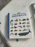 1000種系列：食物+海洋之物+動(dòng)物+交通工具（4冊(cè)）超大開(kāi)本《英語(yǔ)單詞大書(shū)》同系列，浪花朵朵 曬單實(shí)拍圖