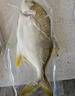 翔泰海南二去金鯧魚(yú)700g/2條  去鰓去內臟燒烤生鮮魚(yú)類(lèi)  海鮮水產(chǎn)中秋 曬單實(shí)拍圖