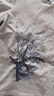 艾蓓怡【涼感棉】白色刺繡印花V領(lǐng)正肩短袖T恤上衣女2025夏季新款 米白色 L 曬單實(shí)拍圖