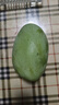 庾豐 海南應季新鮮芒果 整箱當季現摘孕婦熱帶水果大青 皮芒果 5斤裝【單果約200g+】?jì)艄?.5斤 曬單實(shí)拍圖