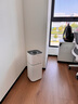 美的（Midea）家用寵物空氣凈化器 過(guò)濾寵物毛發(fā)凈化器養寵神器 全自動(dòng)除煙味寵物異味除菌 速效凈化 【寵物家庭必備】 曬單實(shí)拍圖