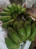 廣西小米蕉小香蕉自然熟迷你香蕉蘋果蕉小芭蕉新鮮水果特產(chǎn)雞蕉 小米蕉 5斤 泡沫箱打包 曬單實(shí)拍圖