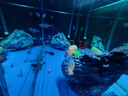 魚(yú)呼吸魚(yú)缸增氧泵養魚(yú)加氧氣泵 安靜充氧機充電攜帶便攜式戶(hù)外釣魚(yú) 氧氣管2米 曬單實(shí)拍圖