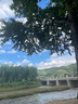 李寧護(hù)膝艾草夏季保暖老寒腿自關(guān)節(jié)炎發(fā)熱保護(hù)套男女士中老年人護(hù)漆蓋 曬單實(shí)拍圖