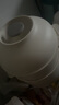 小熊（Bear）嬰兒輔食機寶寶打泥神器 多功能料理機蒜蓉機碎肉機 8葉單杯單刀 曬單實(shí)拍圖