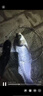 細(xì)硬峰蒼龍鯉六代素材魚竿手竿28調(diào)4H輕量綜合竿魚桿手桿湖庫釣 8.1m 蒼龍鯉六代（素材）熱 曬單實(shí)拍圖